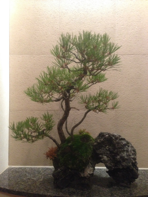 作品集・葉月園